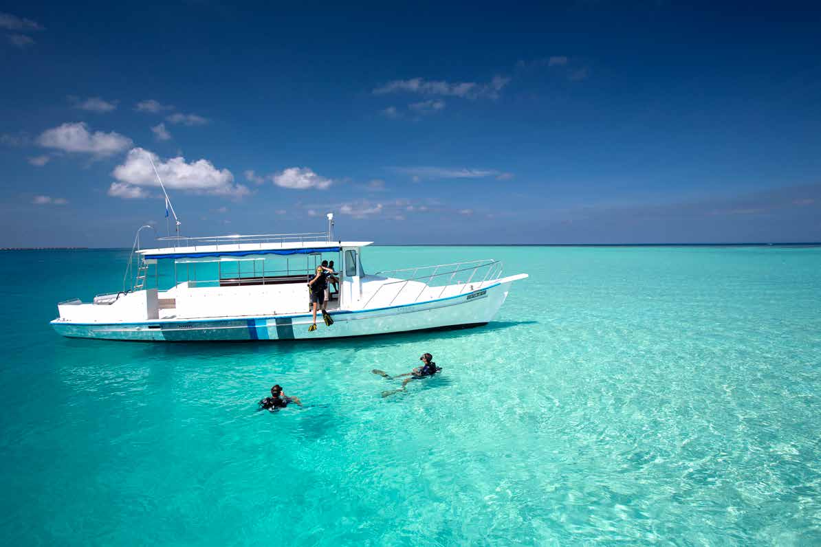 Liveaboards