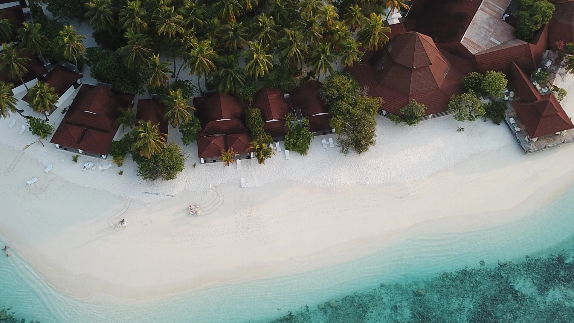Diamonds Thudufushi Maldives Resort & Spa — Sand bank Junior Suite